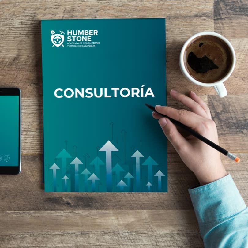 Asesoría Personalizada y Consultoría